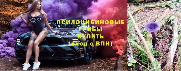 прущая мука Белокуриха