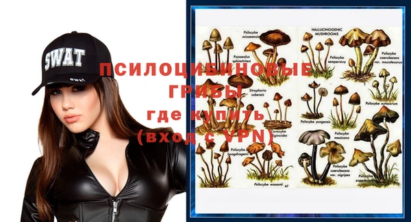 гашиш Бородино