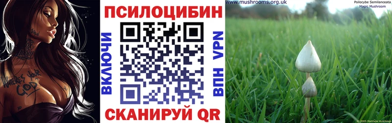 Псилоцибиновые грибы MAGIC MUSHROOMS  купить наркотики цена  Балабаново 